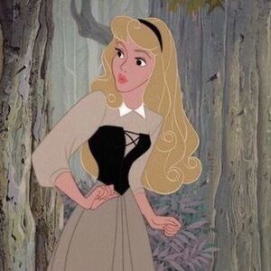 Meet your Posher, Harley